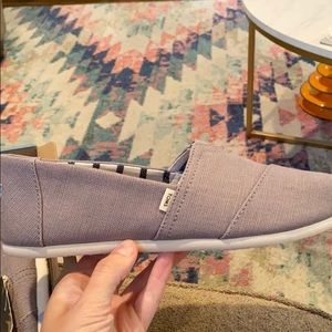 Grey toms (morning dove heritage canvas)